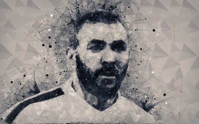 杏运体育独家-丹麦队媒体日开放坦诚